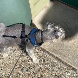 Meet your Posher, Willie